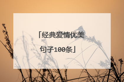 经典爱情优美句子100条