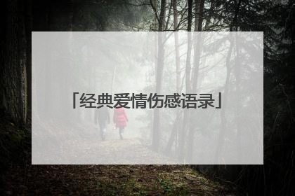 经典爱情伤感语录