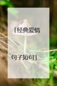 经典爱情句子短句