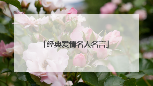 经典爱情名人名言