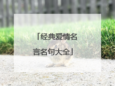 经典爱情名言名句大全