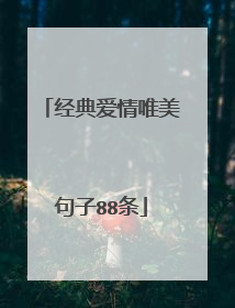 经典爱情唯美句子88条
