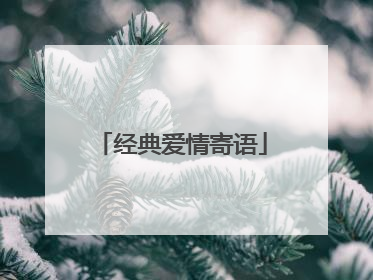 经典爱情寄语
