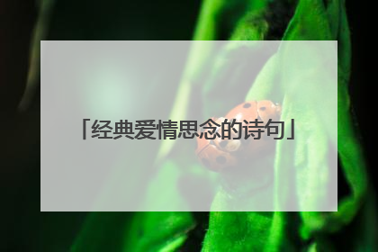 经典爱情思念的诗句