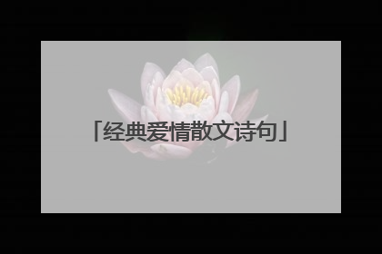 经典爱情散文诗句