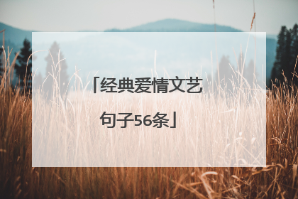 经典爱情文艺句子56条