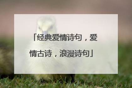 经典爱情诗句，爱情古诗，浪漫诗句