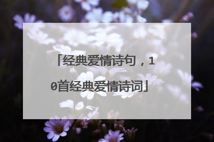 经典爱情诗句,10首经典爱情诗词