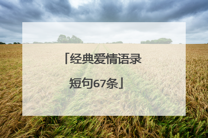 经典爱情语录短句67条