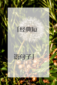 经典短语句子