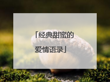 经典甜蜜的爱情语录