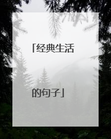 经典生活的句子