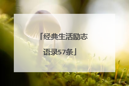 经典生活励志语录57条