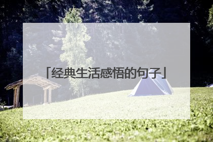 经典生活感悟的句子