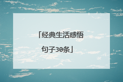 经典生活感悟句子30条
