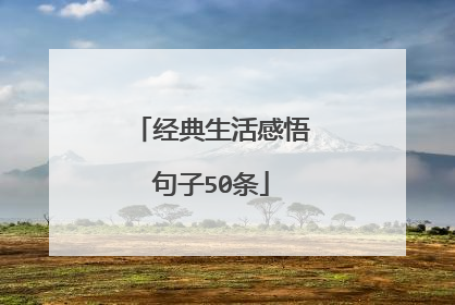 经典生活感悟句子50条