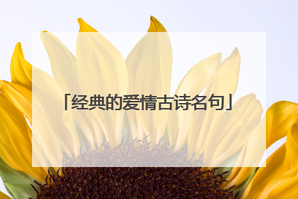 经典的爱情古诗名句