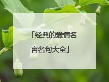 经典的爱情名言名句大全