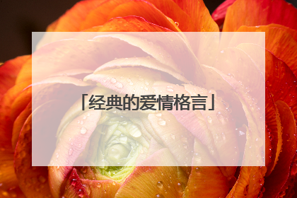 经典的爱情格言