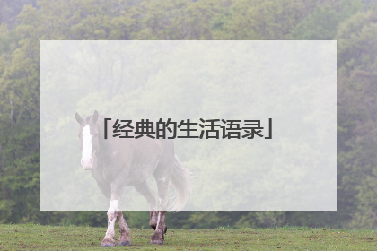 经典的生活语录