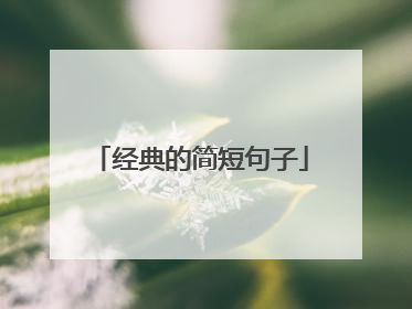 经典的简短句子
