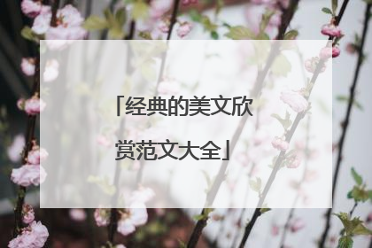 经典的美文欣赏范文大全