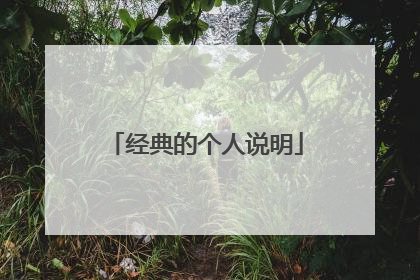 经典的个人说明
