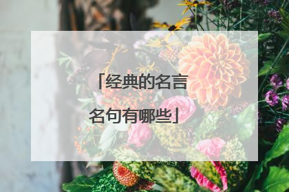 经典的名言名句有哪些