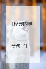 经典的唯美句子