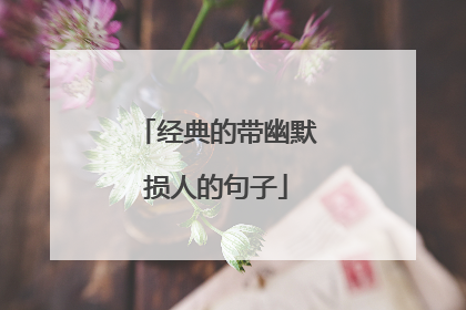 经典的带幽默损人的句子