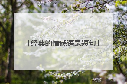 经典的情感语录短句