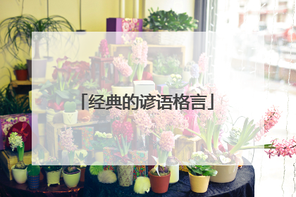 经典的谚语格言