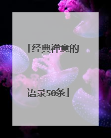 经典禅意的语录50条