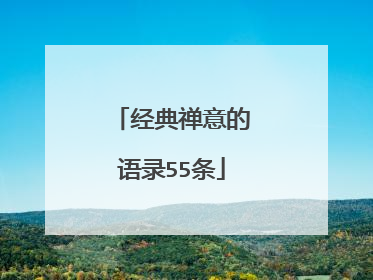 经典禅意的语录55条