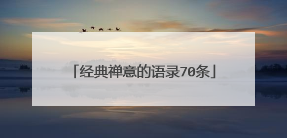 经典禅意的语录70条