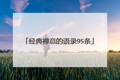 经典禅意的语录95条
