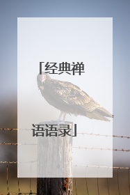 经典禅语语录