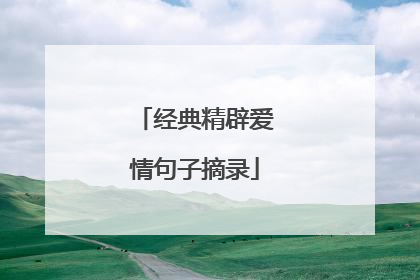 经典精辟爱情句子摘录
