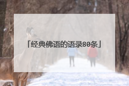 经典佛语的语录80条