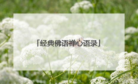 经典佛语禅心语录