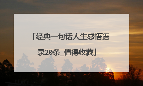 经典一句话人生感悟语录20条_值得收藏