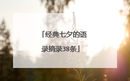 经典七夕的语录摘录38条