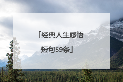 经典人生感悟短句59条