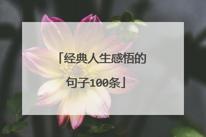 经典人生感悟的句子100条