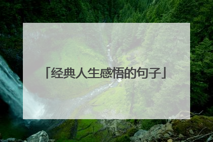 经典人生感悟的句子
