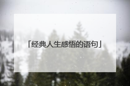 经典人生感悟的语句