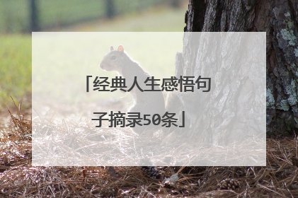 经典人生感悟句子摘录50条