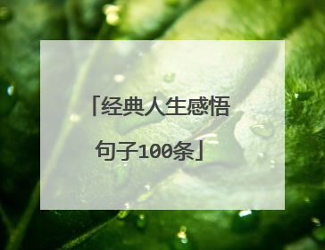 经典人生感悟句子100条