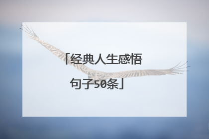 经典人生感悟句子50条