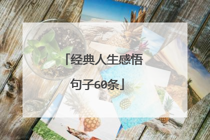 经典人生感悟句子60条